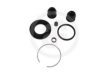 AUTOFREN SEINSA D4673 Repair Kit, brake caliper